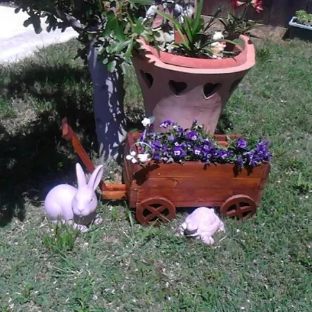 With Parking Space - Zadar - 14654 * Privlaka (Zadar)