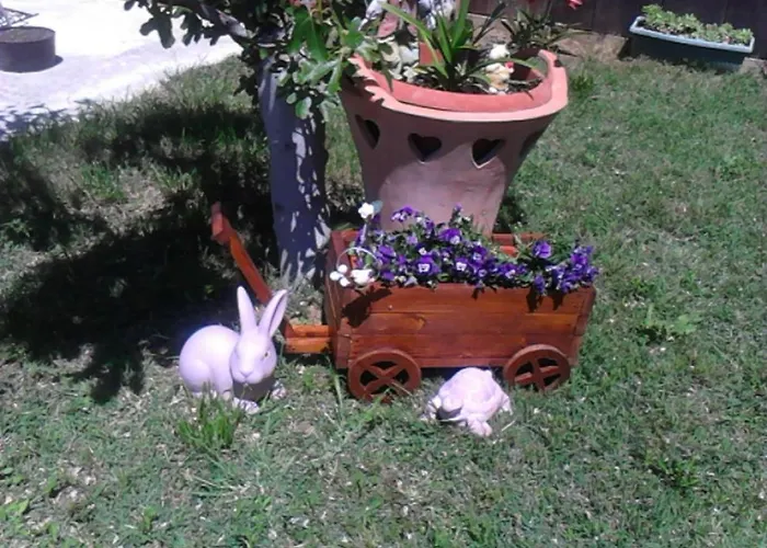 With Parking Space - Zadar - 14654 * Privlaka (Zadar)